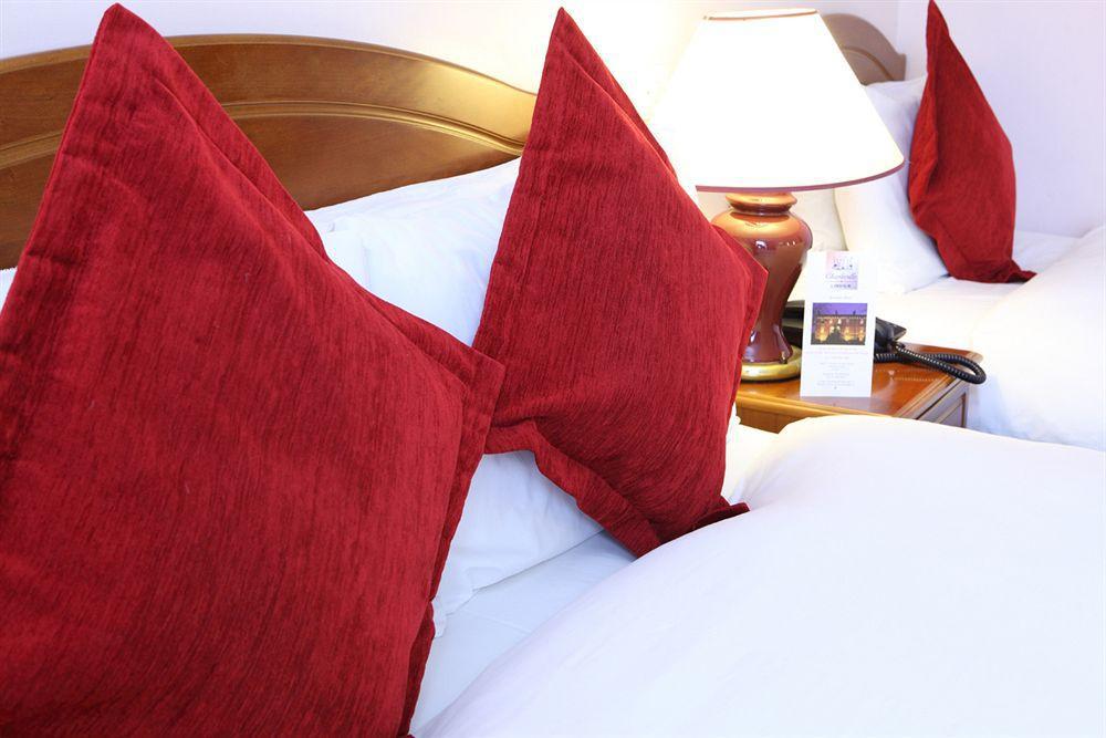 Charleville Lodge Hotel Dublin Rum bild